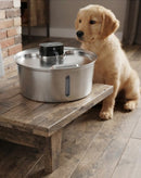Bebedouro Fonte Automática com Sensor de Presença 3,2L para Cães e Gatos (Sem fio)