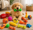 Kit 12 Brinquedos Mordedores para Cães | Diversão Garantida 🐾