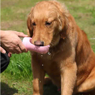 490ML 2 Em 1 Garrafa De Água Portátil Para Gatos Cães E Dispensador Multifuncional