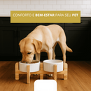 Comedouro Bebedouro Pet Elevado Duplo Pote Para Ração e Água Porcelana 320ml