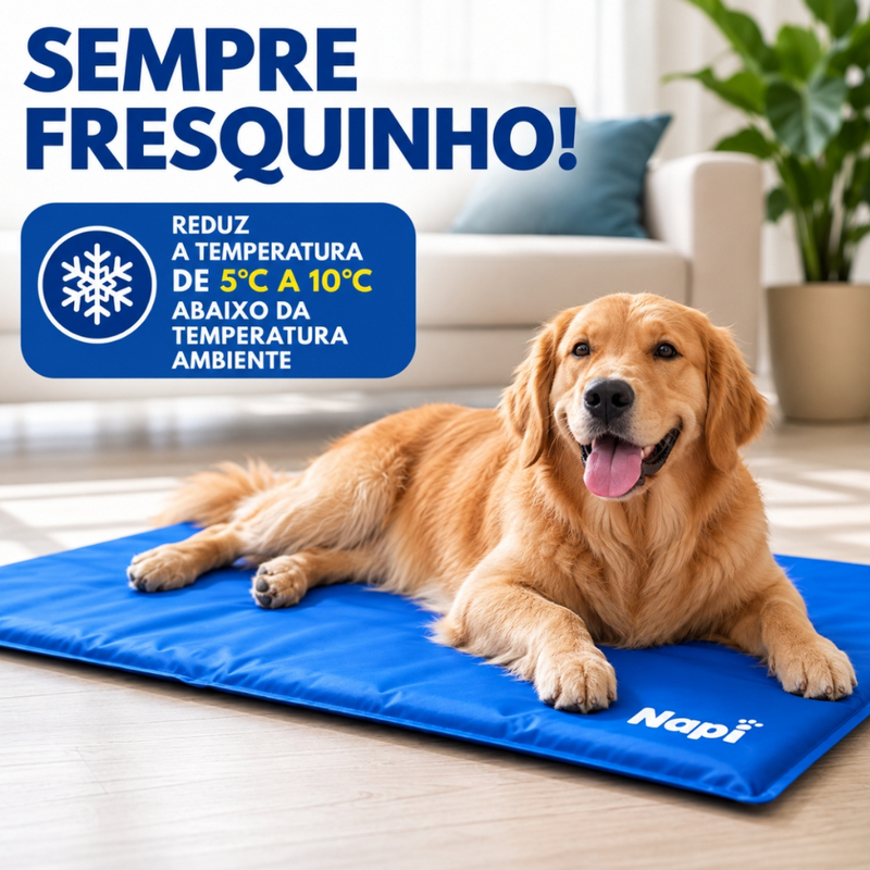 Tapete Gelado Refrescante para Pets Anti Calor Não Tóxico Antialérgico Imediato Ringo Napi